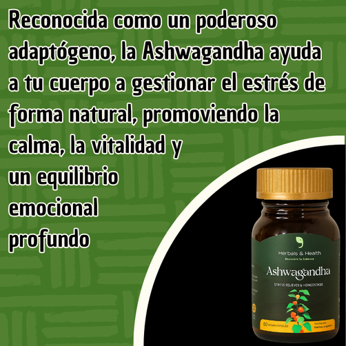 ASHWAGANDHA - El suplemento que tu cuerpo y mente necesita