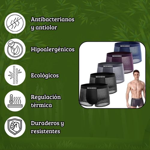 Boxer de bambú