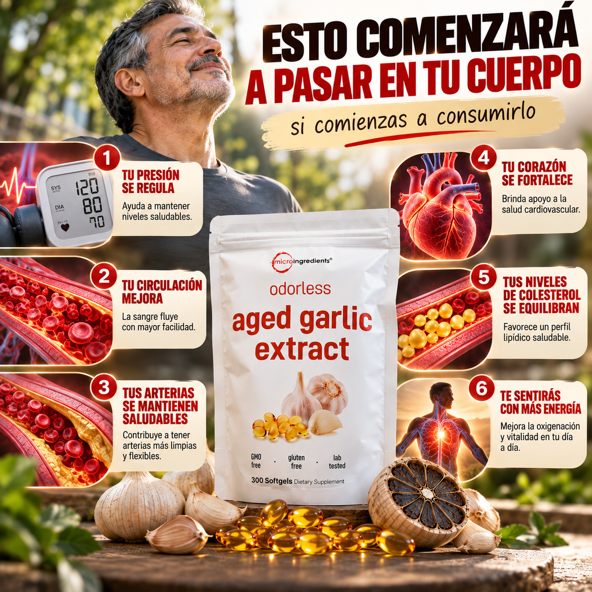 CAPSULAS DE EXTRACTO DE AJO AÑEJADO - Tratamiento para la presión arterial