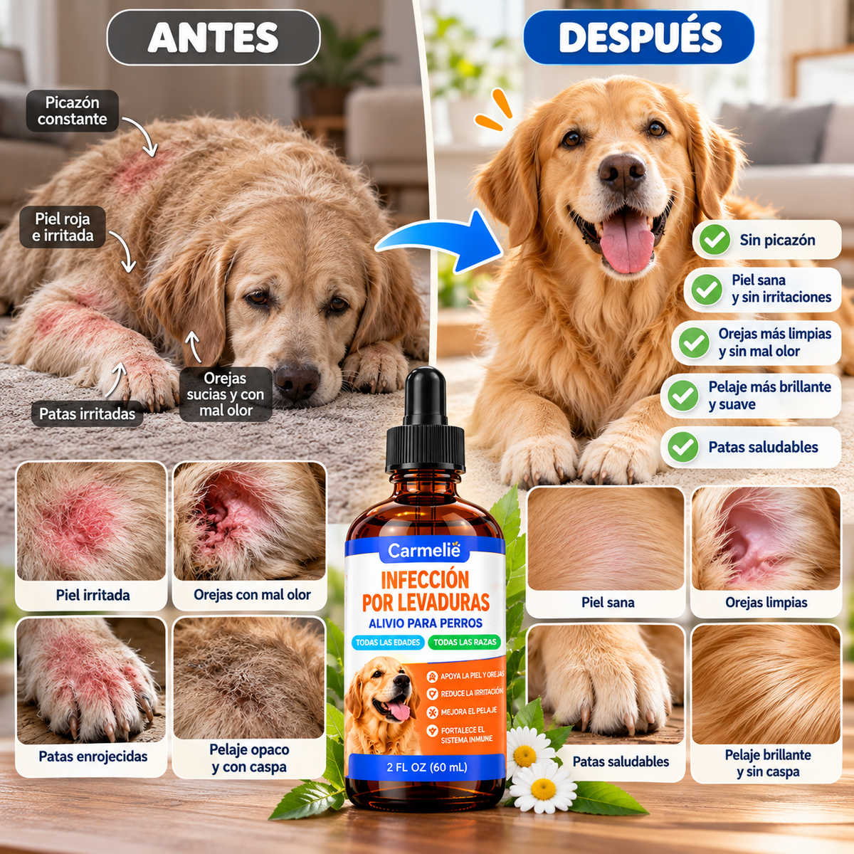 SERUM PARA INFECCION PERROS