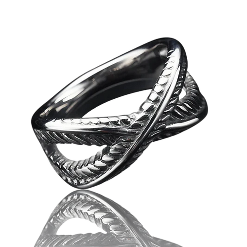Anillo del tiempo - Goku Black