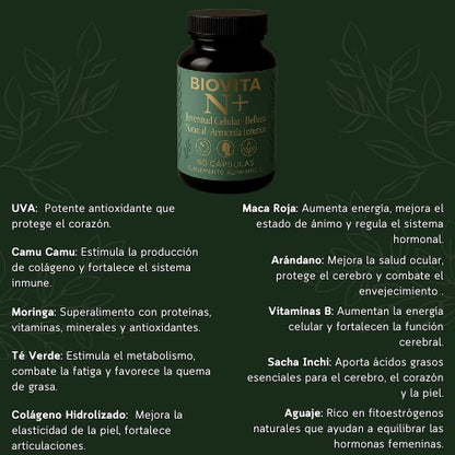 BioVita N+ : Rejuvenece desde adentro 🔆