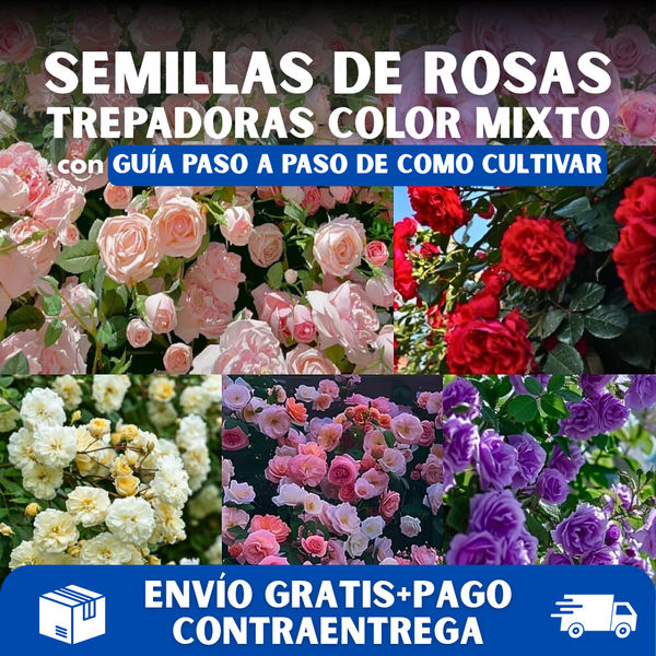 Organicidia® - Semillas Mixtas de Rosas Trepadoras X 100 Semillas PREMIUM