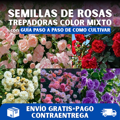 Organicidia® - Semillas Mixtas de Rosas Trepadoras X 100 Semillas PREMIUM