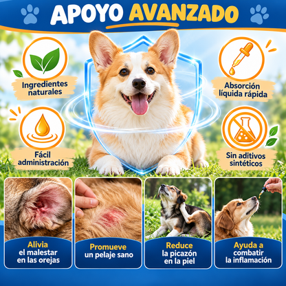 SERUM PARA INFECCION PERROS