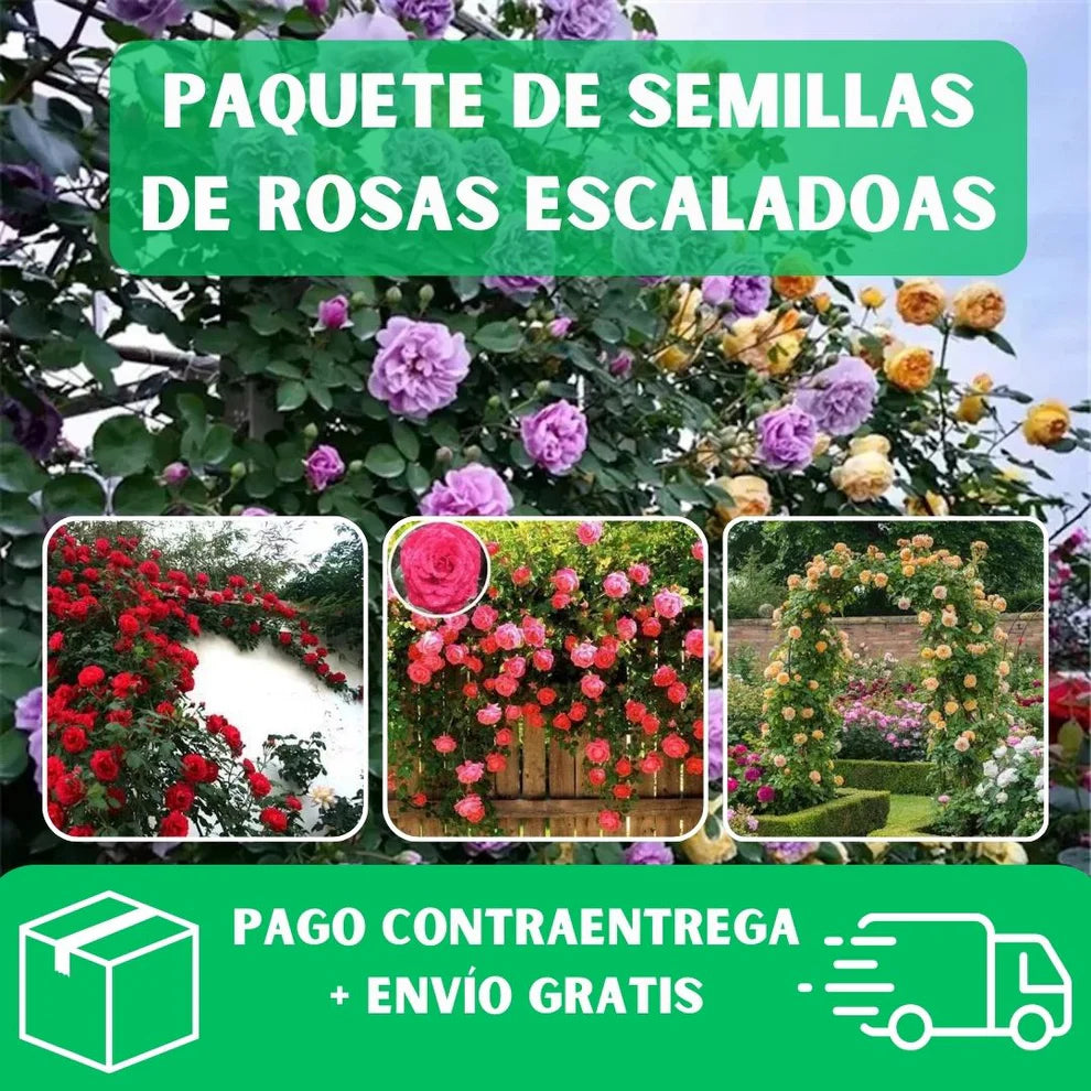 Organicidia® - Semillas Mixtas de Rosas Trepadoras X 100 Semillas PREMIUM