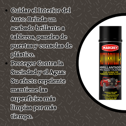 AutoBrillo - El brillo que tu auto necesita
