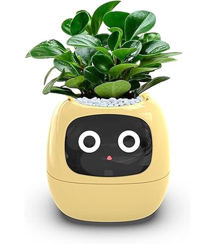 Florita Smart - Macetero digital