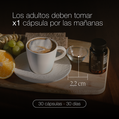 ZZEN Focus Nootrópico Natural - Potencia tu mente a su maximo