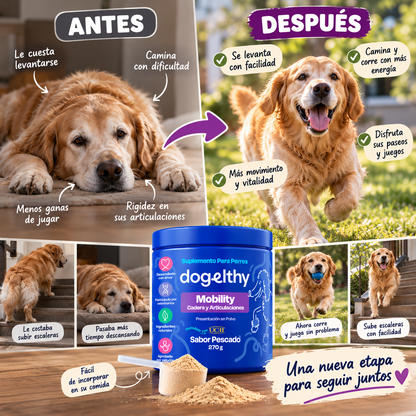 DOG ELTHY - BIENESTAR A LOS HUESOS DE TU MASCOTA