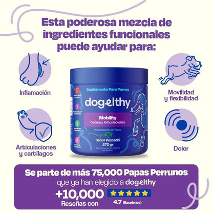 DOG ELTHY - BIENESTAR A LOS HUESOS DE TU MASCOTA